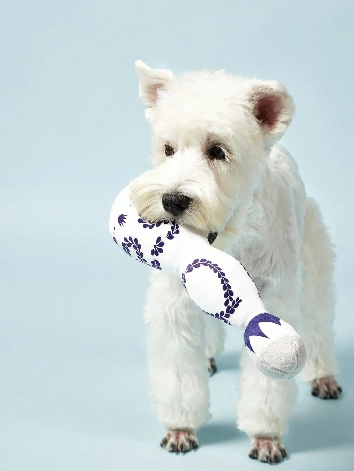 PETSIN Squeaky Plush Dog Toy