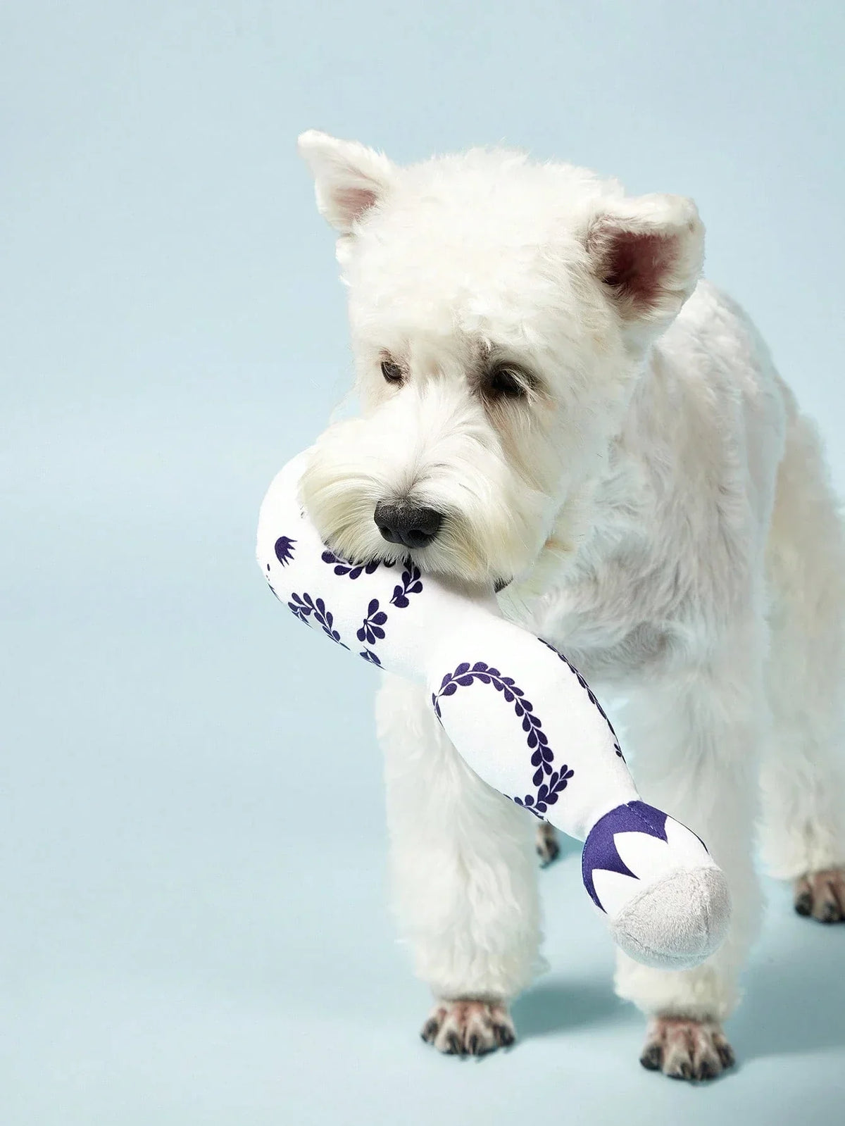 PETSIN Squeaky Plush Dog Toy