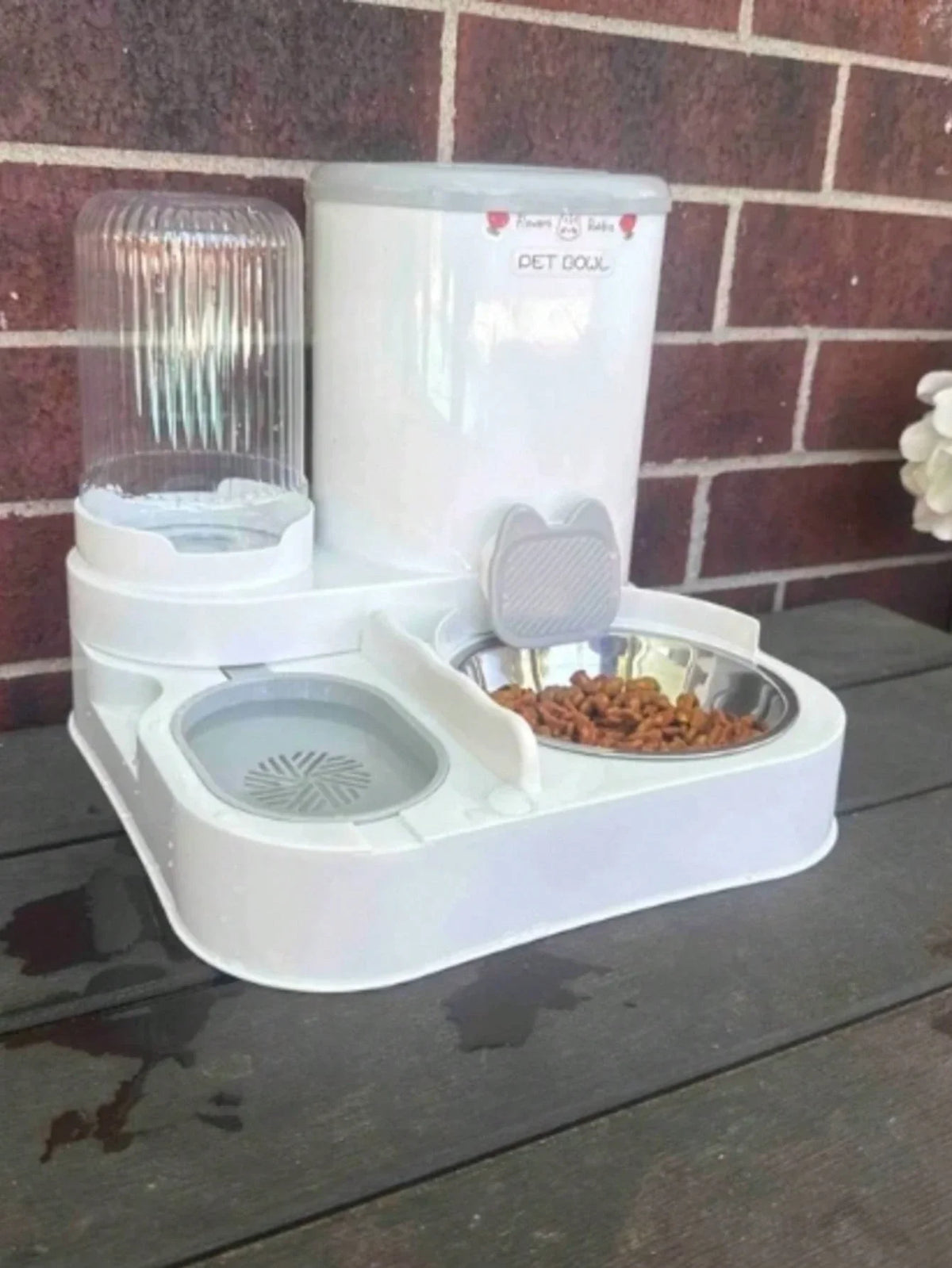 2-in-1 Cat Feeding Station