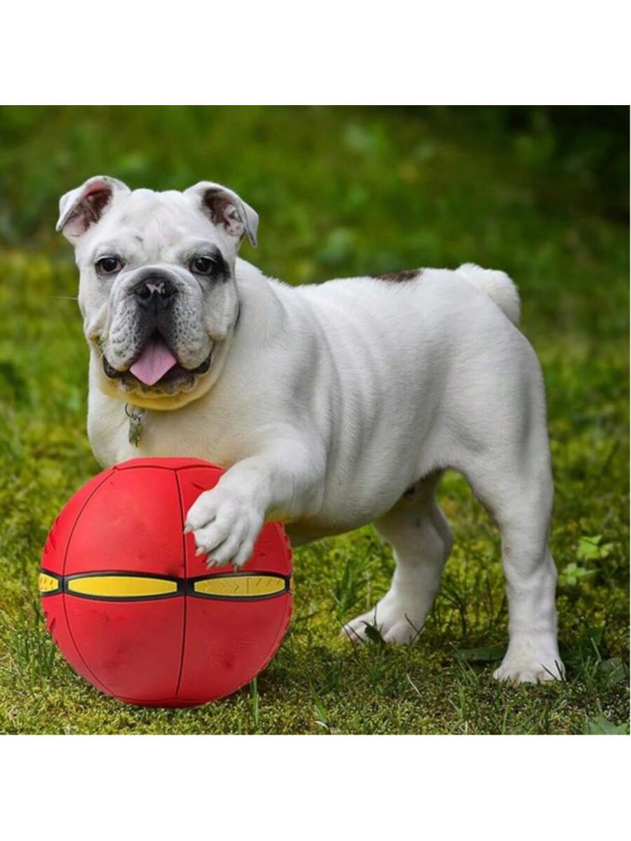 UFO Flying Disc Dog Toy