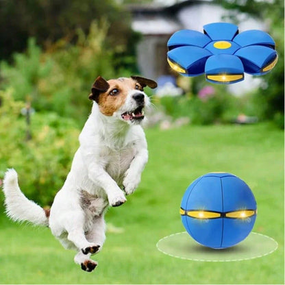 UFO Flying Disc Dog Toy