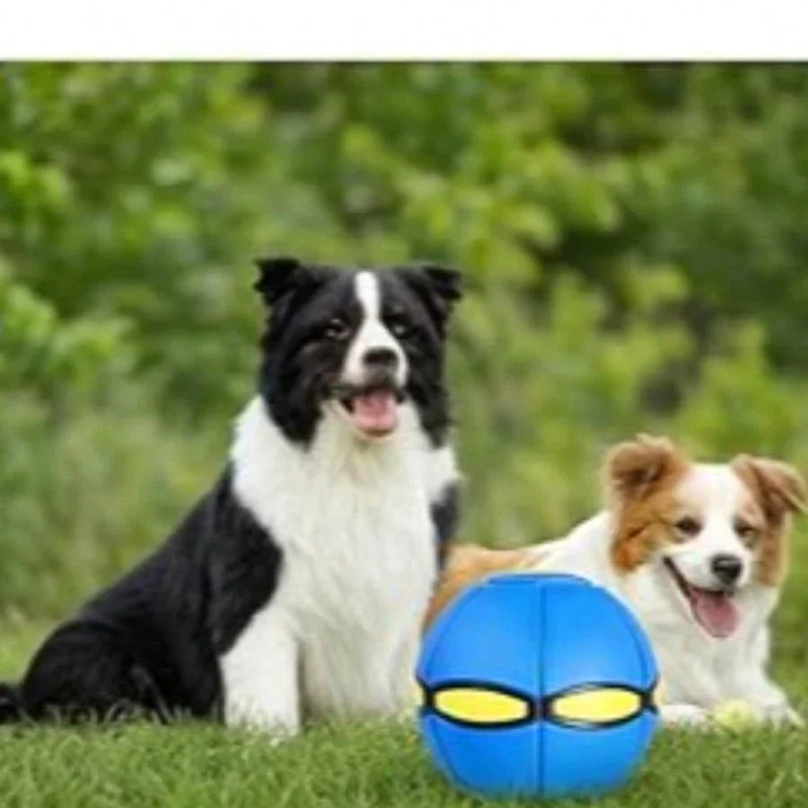 UFO Flying Disc Dog Toy