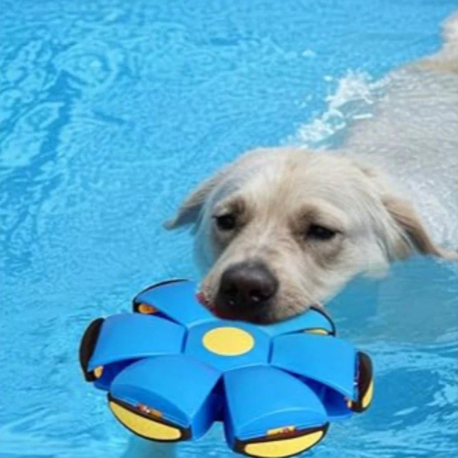UFO Flying Disc Dog Toy