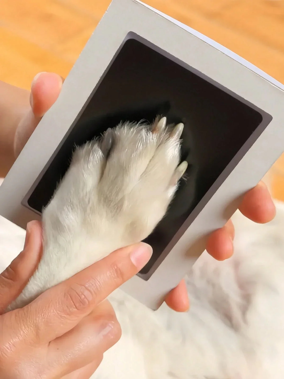 Pet Paw Print Keepsake Kit