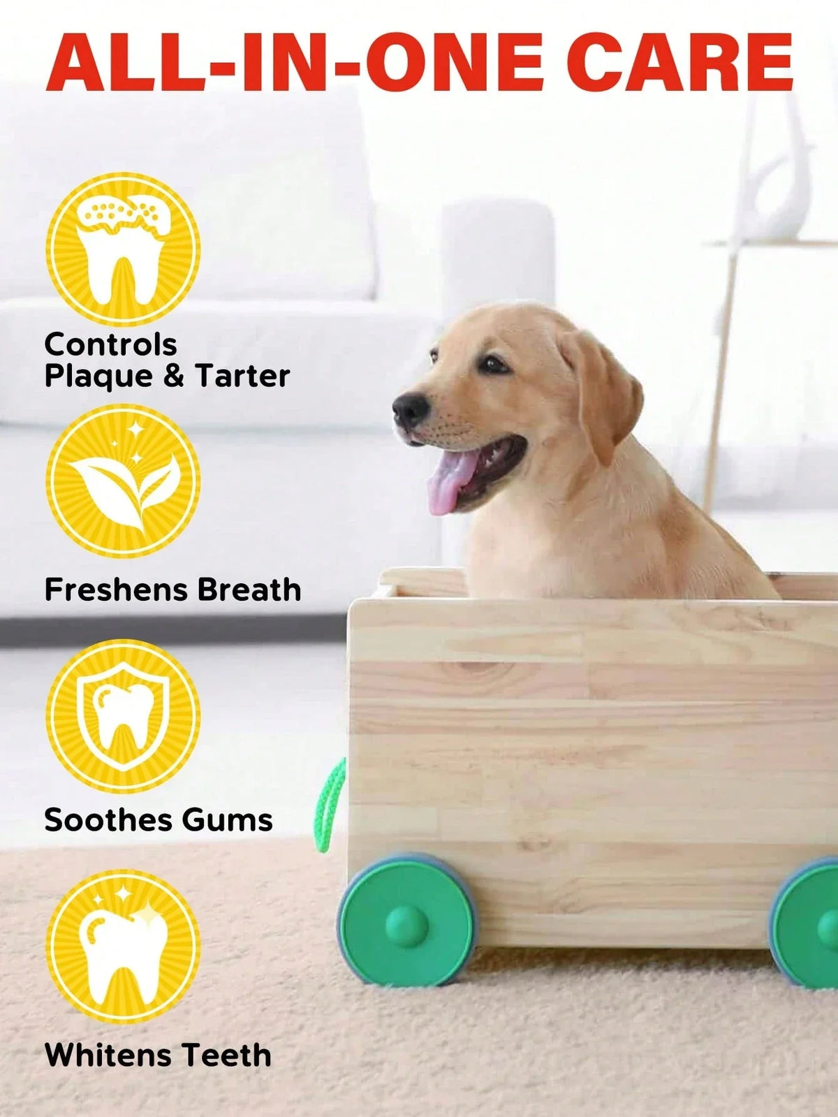 GJYC Pet Dental Care Kit