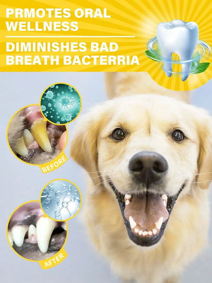 GJYC Pet Dental Care Kit