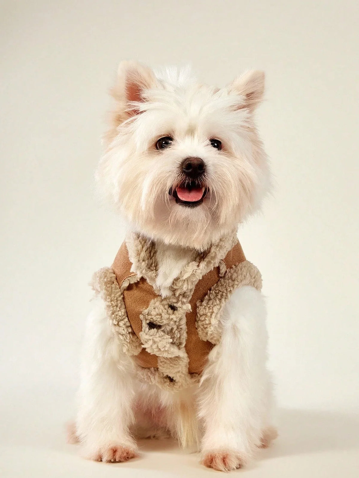 PETSIN Cotton Padded Pet Coat