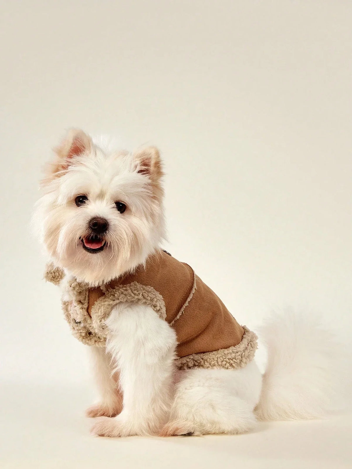 PETSIN Cotton Padded Pet Coat