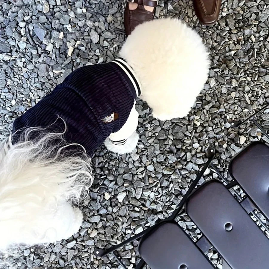 PETSIN Dog Baseball Jacket