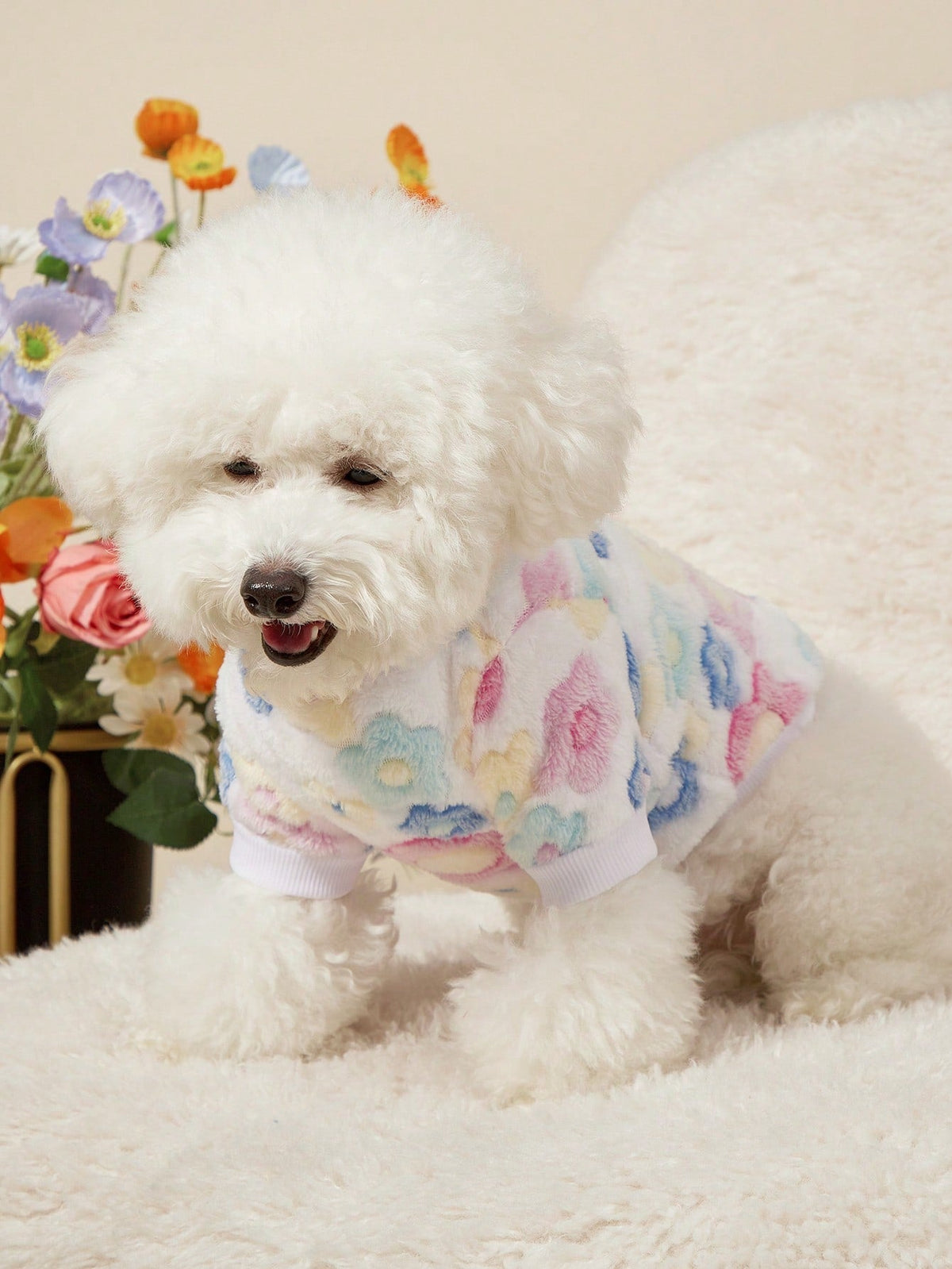 PETSIN Dinosaur Print Pet Hoodie
