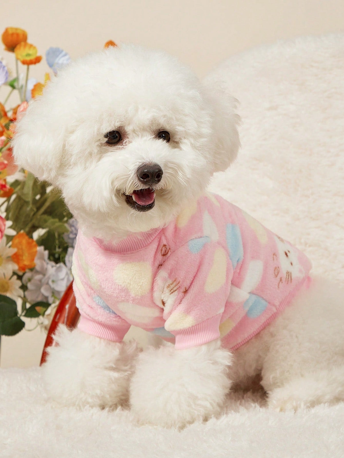 PETSIN Dinosaur Print Pet Hoodie