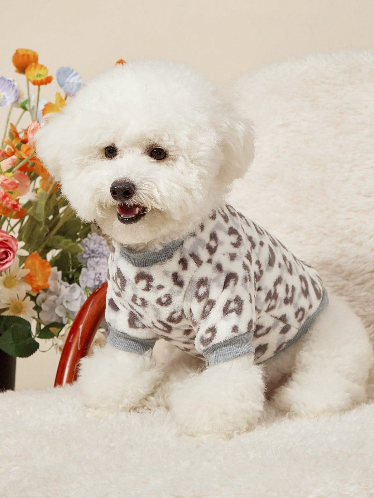 PETSIN Dinosaur Print Pet Hoodie