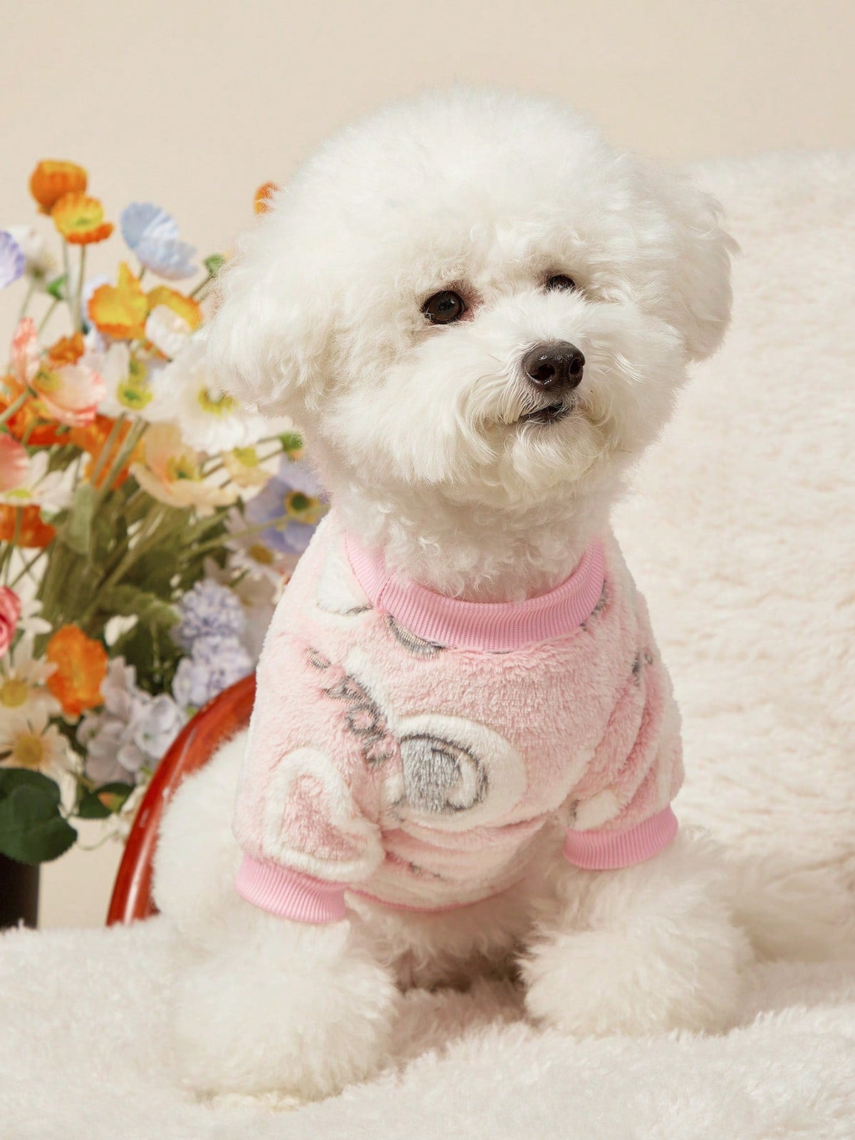 PETSIN Dinosaur Print Pet Hoodie