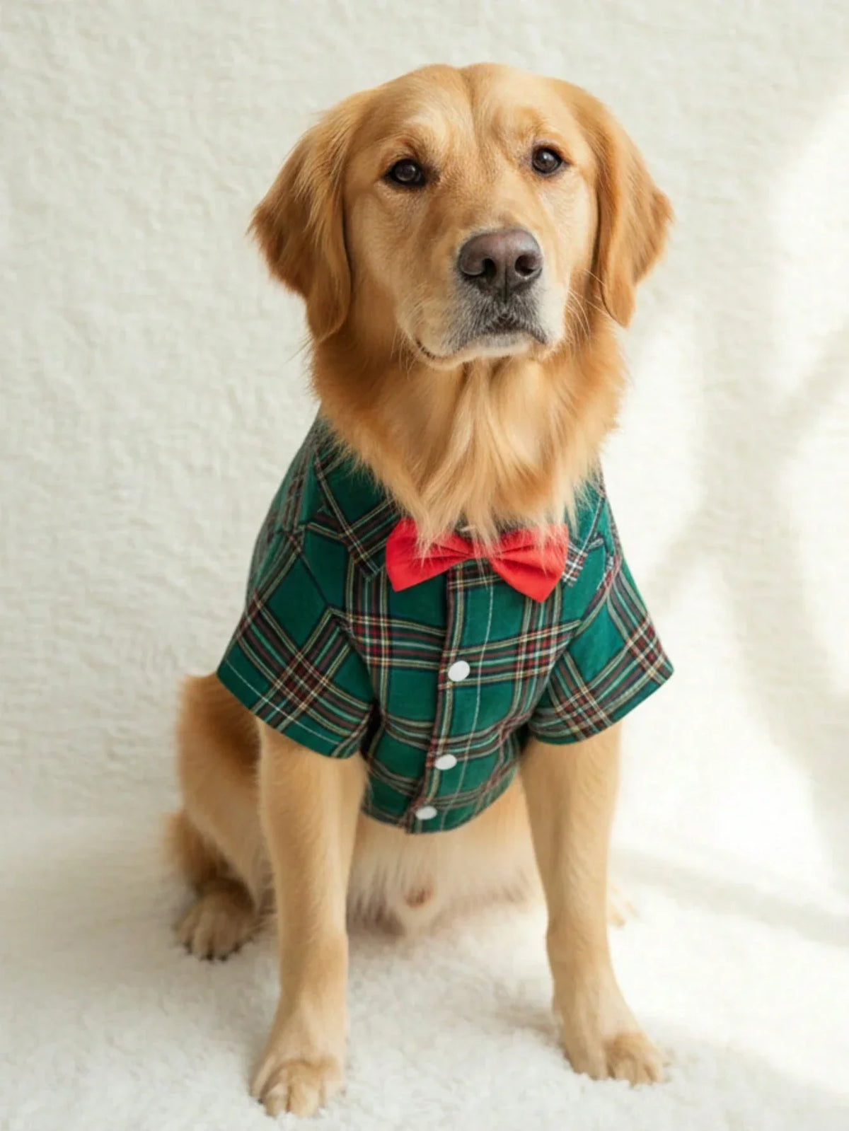 PETSIN Christmas Plaid Pet Shirt
