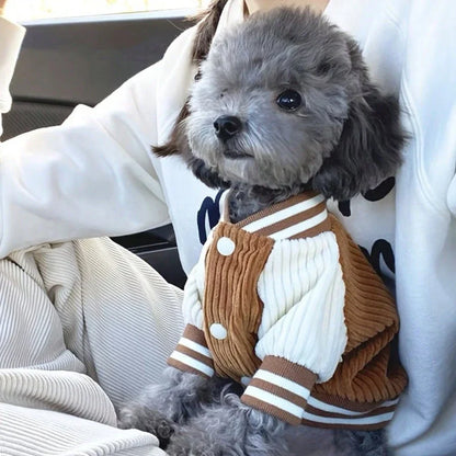 PETSIN Dog Baseball Jacket