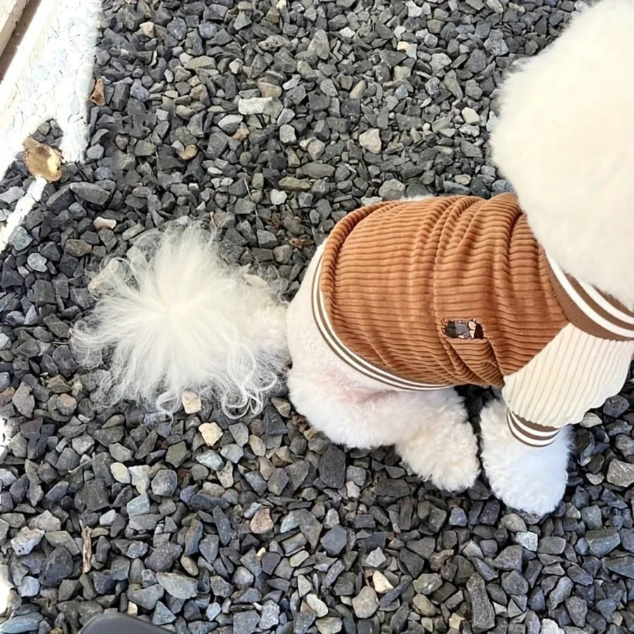 PETSIN Dog Baseball Jacket