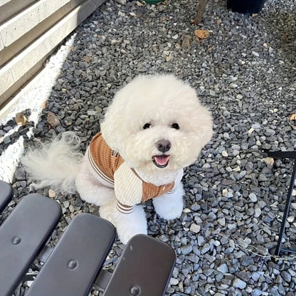 PETSIN Dog Baseball Jacket