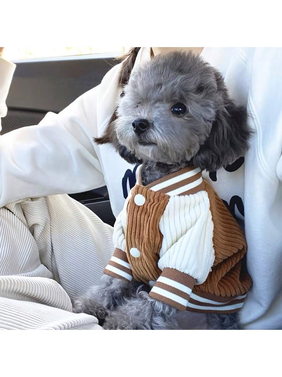 PETSIN Dog Baseball Jacket