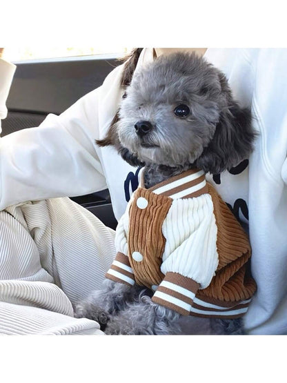 PETSIN Dog Baseball Jacket