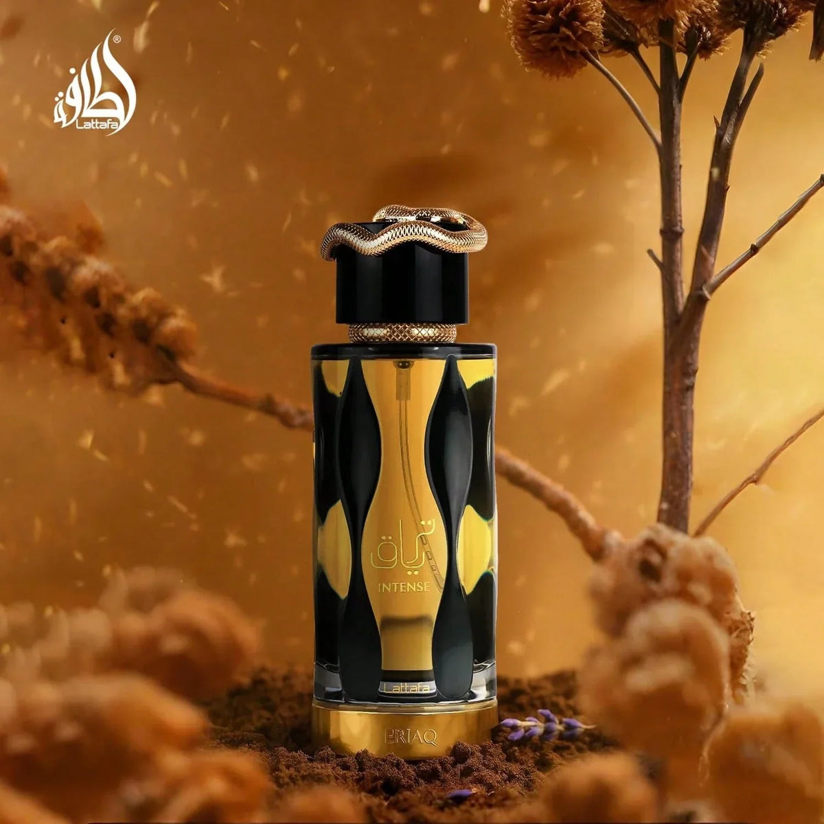 Lattafa Teriaq Intense Unisex Perfume