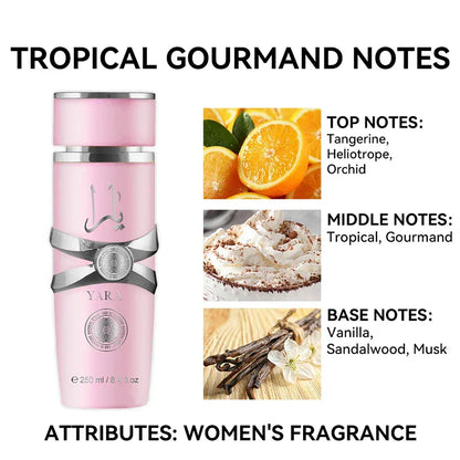 250ml Yara Perfume – Amber Vanilla Scent