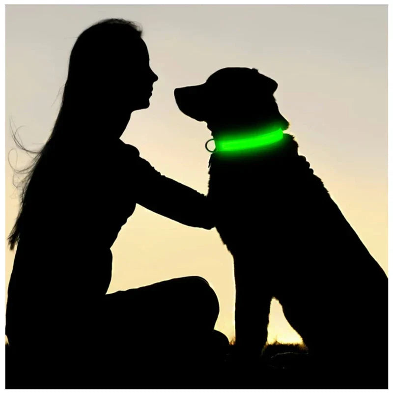 LED Luminous Dog Cat Collar