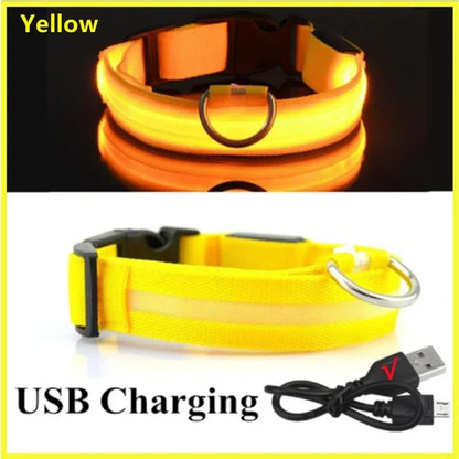 LED Rechargeable Dog Glow Collar