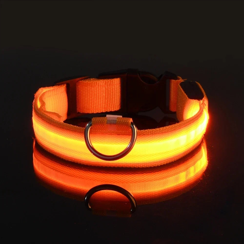 LED Glow Dog Safety Leash