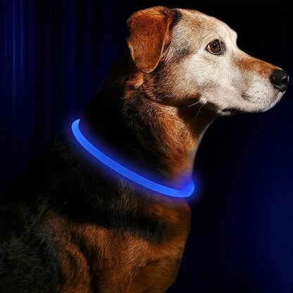 LED Luminous Dog Safety Collar