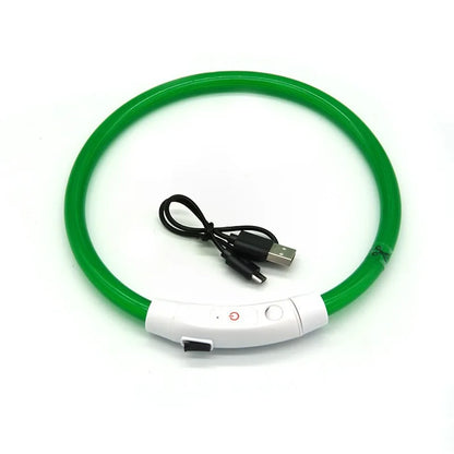 USB Rechargeable LED Dog Collar