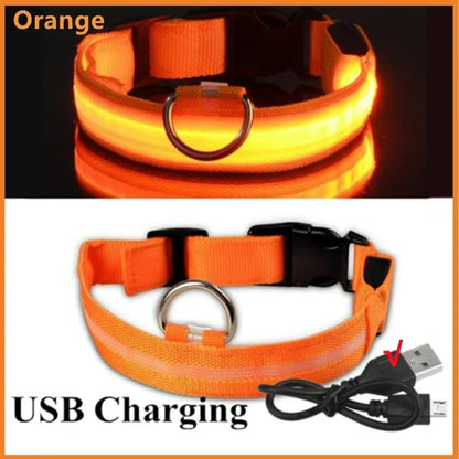 LED Luminous Dog Cat Collar