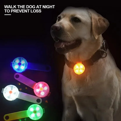 LED Safety Dog Collar
