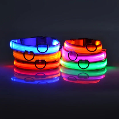 LED Glow Dog Safety Leash