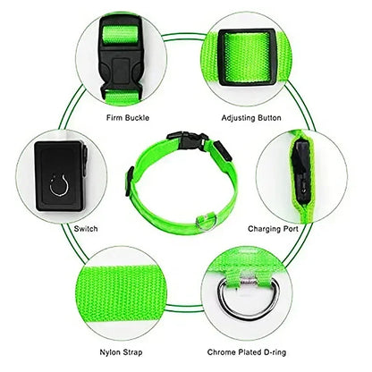 LED Rechargeable Dog Glow Collar