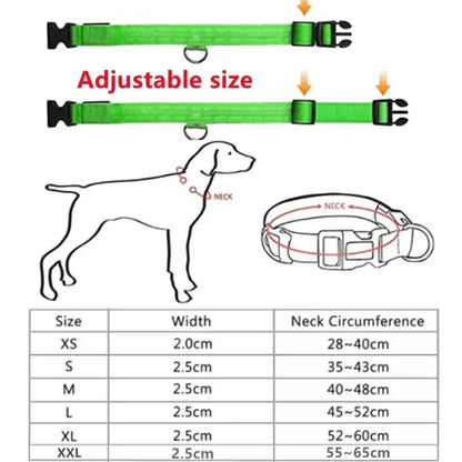 LED Rechargeable Dog Glow Collar