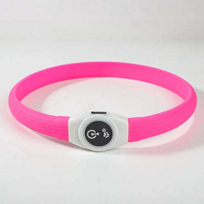 LED Luminous Dog Collar USB