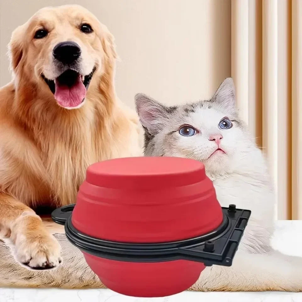 Foldable Dual Pet Bowl