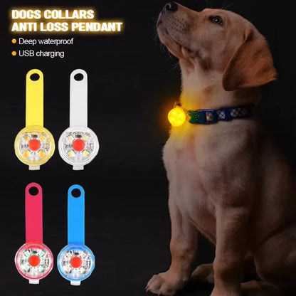 LED Safety Dog Collar
