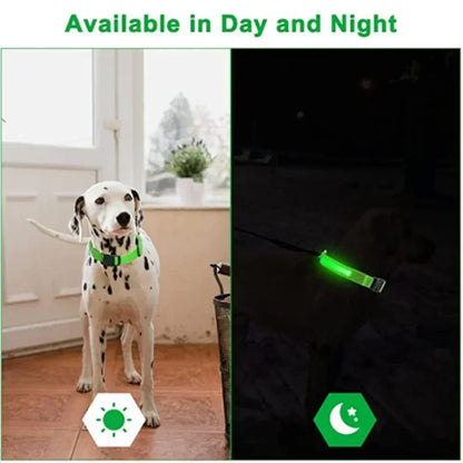 LED Rechargeable Dog Glow Collar