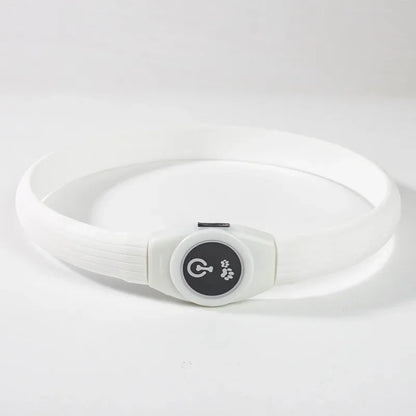 LED Luminous Dog Collar USB